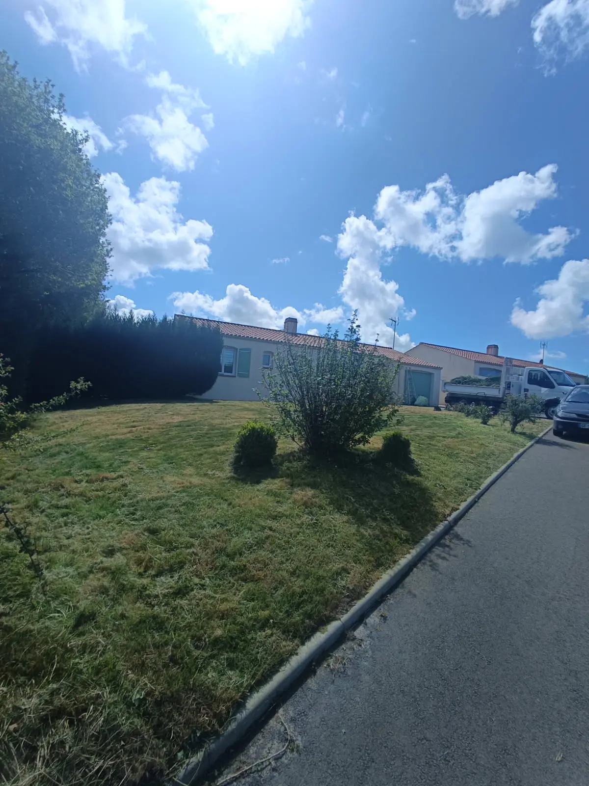Après - Débroussaillage de terrain