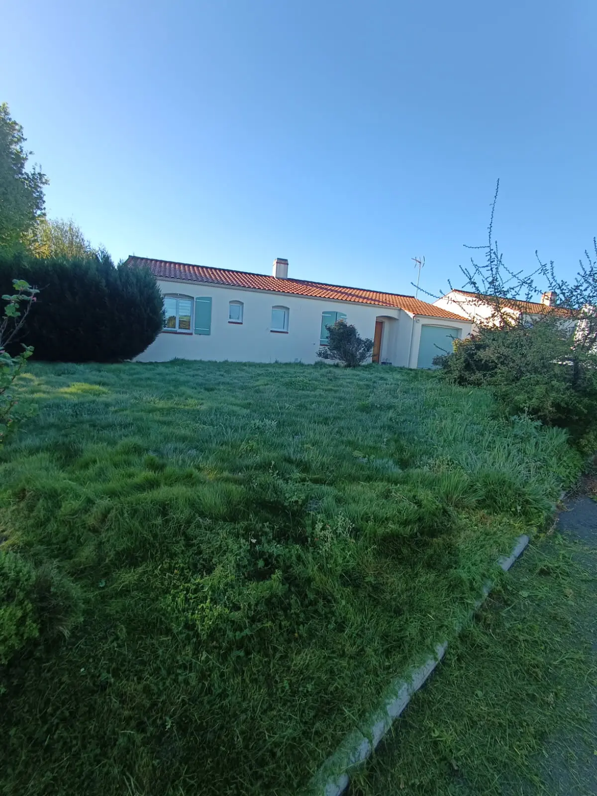 Avant - Débroussaillage de terrain