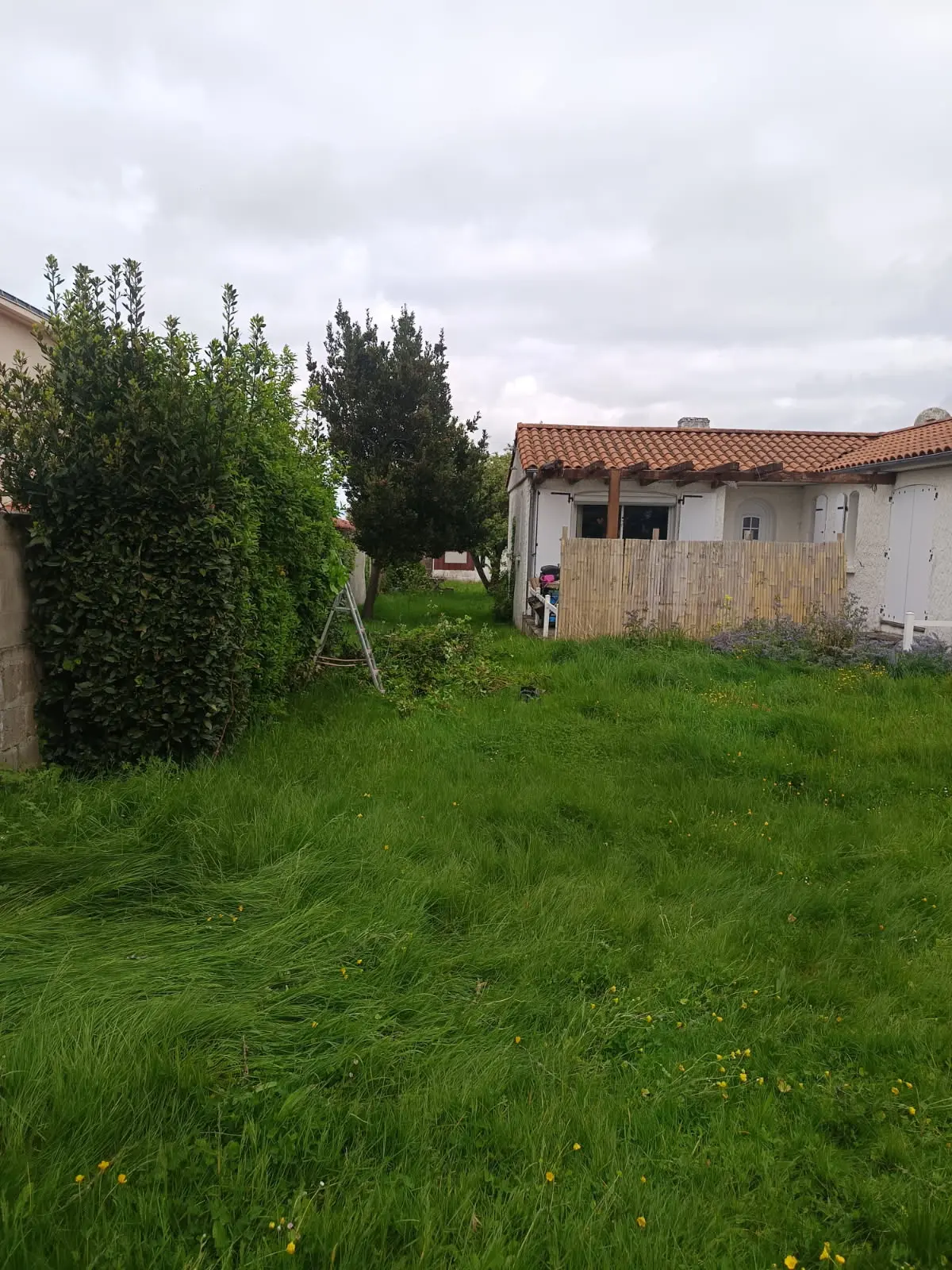 Avant - Tonte et entretien de jardin